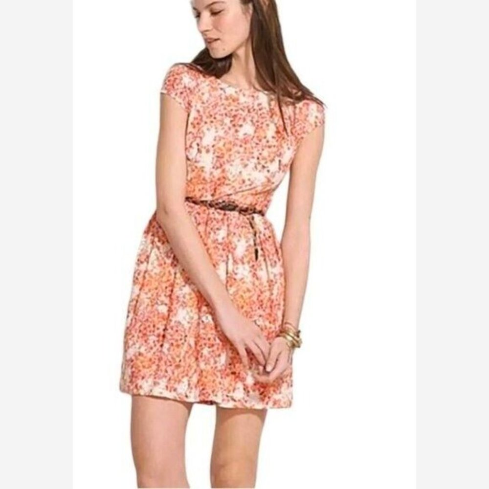 Madewell Watercolor Painted Lace Bloom Dress Size 6